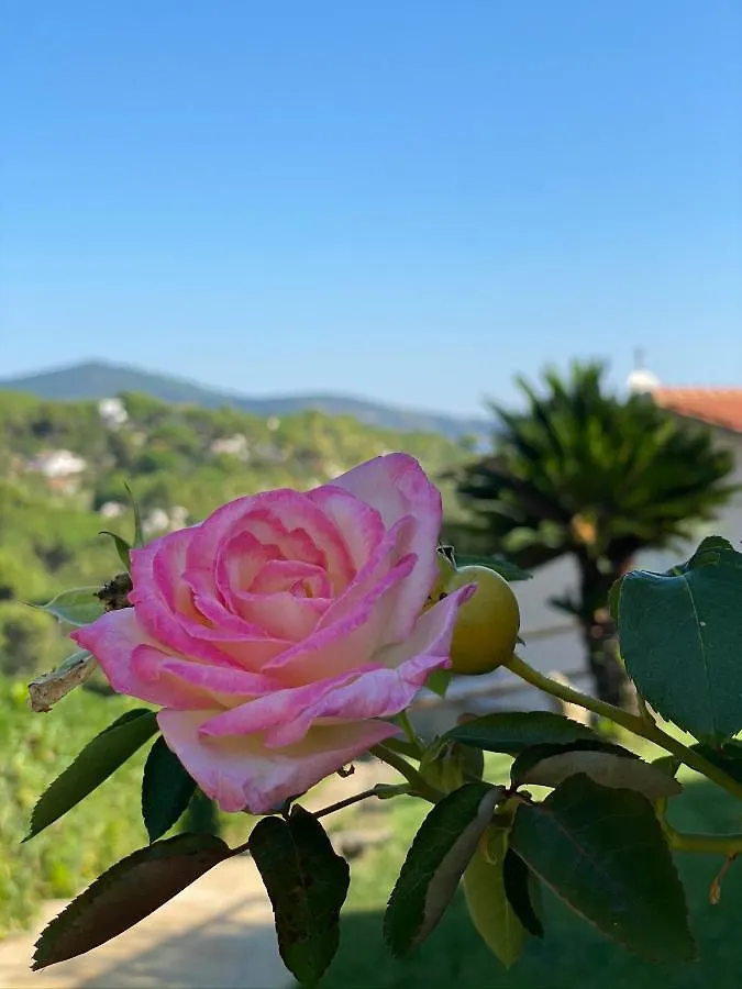 Casa Serena Capoliveri  0*, Capoliveri (Isola d'Elba) Italy